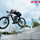 첼로파크 이미지