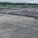 동주로(동주길) 이미지