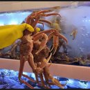 어서오시게 신중동 이미지