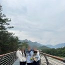 향기있는풍경 | 속초 설악산 스카이워크 출렁다리 설악향기로 주차 및 애견 동반 후기