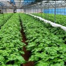 죽포출장소 이미지