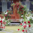 진흥프라자 이미지