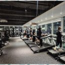 피트니스 엘 | 갈마동피티 도심 속 힐링 운동, 피트니스엘 체험기