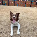 이브겨울이네펜션 이미지