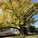 은행2리 마을회관 이미지