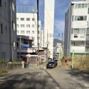 엄광산 | 엄광산 등산코스 리얼후기 이 길은 가지마세요 부산 가을맞이 데이트