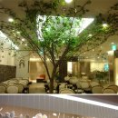 솔뫼식당 이미지