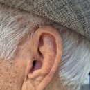 시그니아독일보청기대구북구센터 이미지