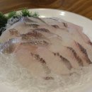 오징어나라 이미지