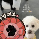 두유 개린이집 이미지