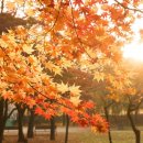 행정사사무소 사람과 사람 이미지