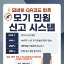 계룡