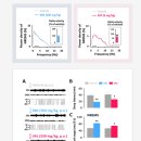 가온약품 이미지