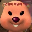 키작녀 겨울 코트 10개 추천 모음.zip (나도 샀지롱)