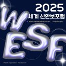 한국항공대학교 항공우주정책대학원 | [✨WESF Supporters✨]&lt;2025 세계신안보포럼&gt; 참석 후기✨2025 세계신안보포럼/외교부/World Emerging...