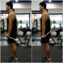 엑서사이즈 이미지