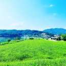 하운암보건진료소 네이버블로그