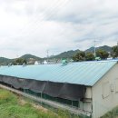 논산목장 이미지