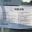눈이부시개