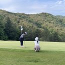 뉴원골프스쿨 이미지