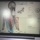 다인 앞 | 화정체형교정 다인체형관리 3D 체형분석 맞춤 관리 후기