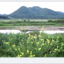 달천제방길 이미지