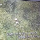 숲이그린집 이미지