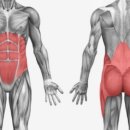 제이 스포츠 퍼포먼스 이미지