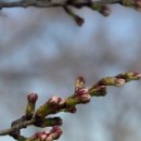 청려수련원 이미지