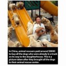 동물을 사랑하는 사람들 이미지