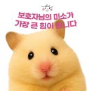 에코펫케어 이미지