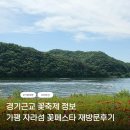 가평 꽃축제정보ㅣ 자라섬꽃페스타 주차 유모차대여 재방문후기 서울근교꽃축제
