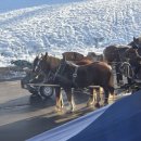 강감찬 동상 | 260120~260129 유럽 #1