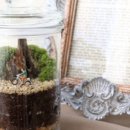 플라워&홈가드닝 이미지