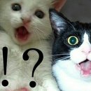 금남한식부페 이미지