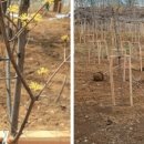 유실목장 이미지