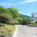 수영환경공원 농구장