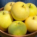 조이농장 이미지