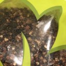 천초한의원 이미지