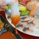 백록레져 | 제주도 함덕 백록집, 제주 노포 횟집에서 고등어회와 딱새우회!
