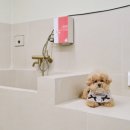 꼬망모르 이미지