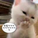 와플대학구미문성캠퍼스