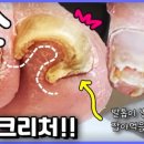 레푸스서면점 이미지