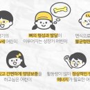 해피해피츄