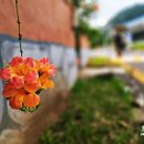 문암보건진료소 이미지