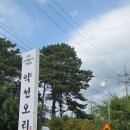 약선차와 건강약선 | 일산 화정 오리고기 맛집 약선오리 후기