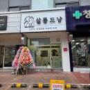 109미용실 | 창원 상남동 고양이 무마취 미용실 살롱드냥 / 내돈내산 고양이 목욕, 미용 후기