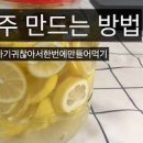 맛술 만드는법 생강술 레몬활용법 레몬 담금주 만들기 이미지