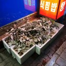마산아구찜，굴 이미지