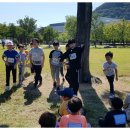 용산초등학교 이미지